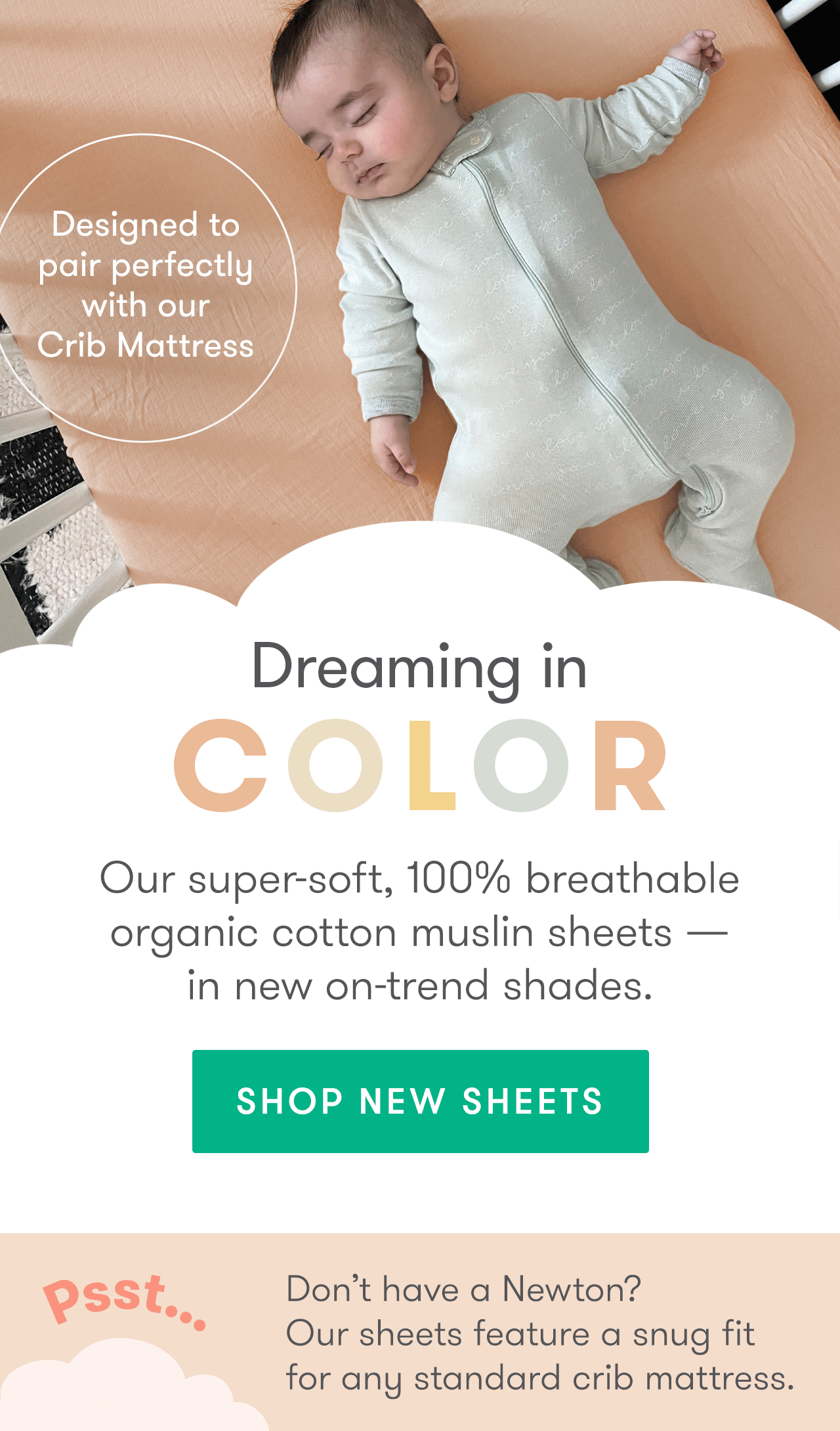 The Top 4 Trending Sheets Colors are HERE Newton Baby